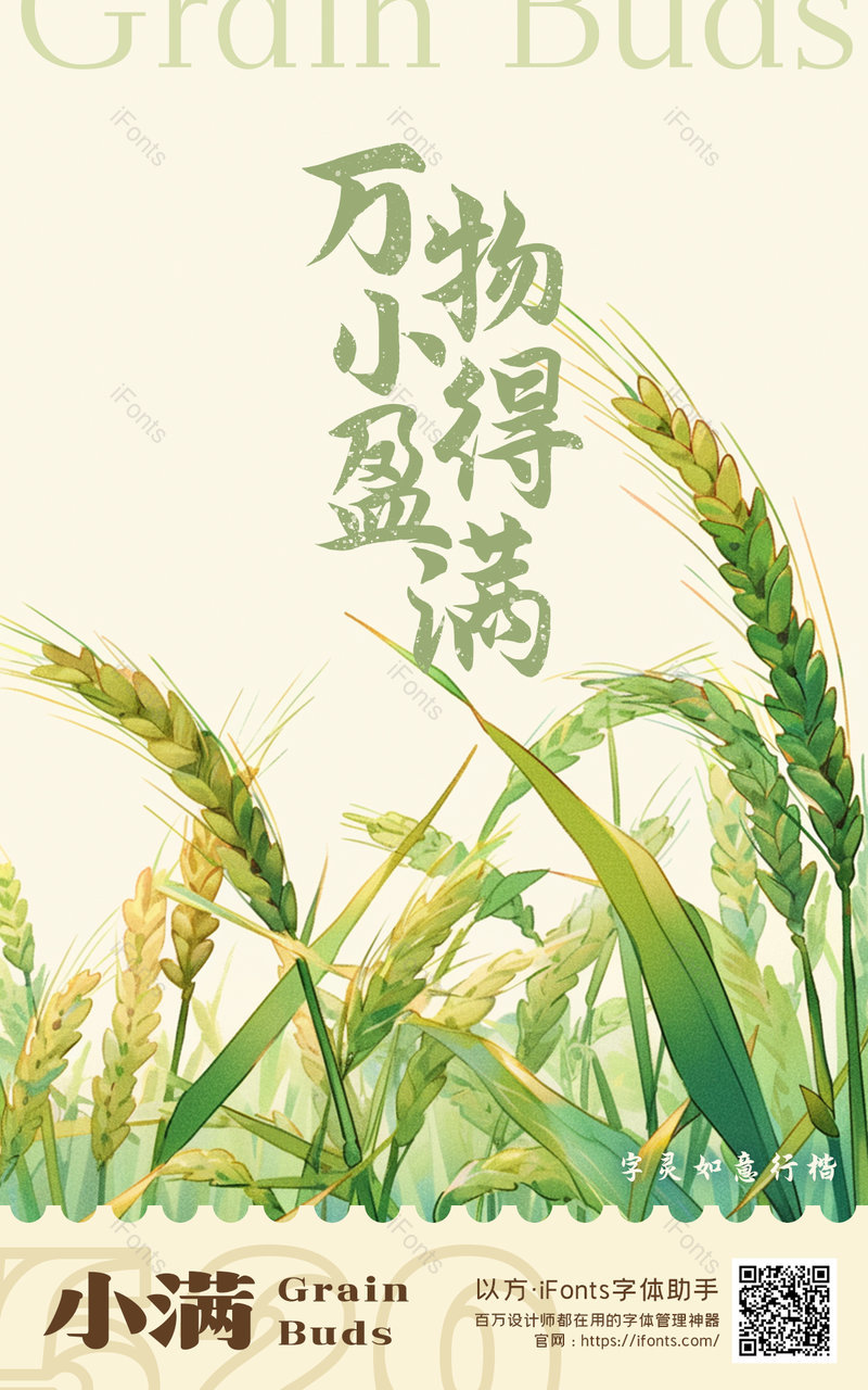小满节气麦穗系列插画创意手绘海报,设计模板,设计模板大全,设计模板下载